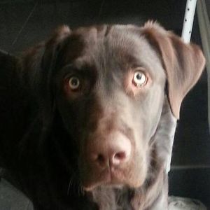 Meet your Posher, Lynn